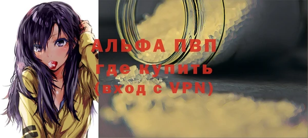 индика Армянск