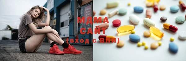 индика Осинники