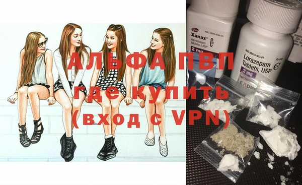 индика Армянск