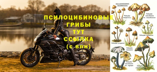 прущие крисы Аркадак