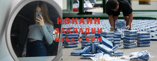 индика Армянск
