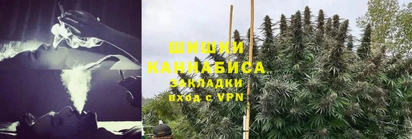 прущие крисы Аркадак