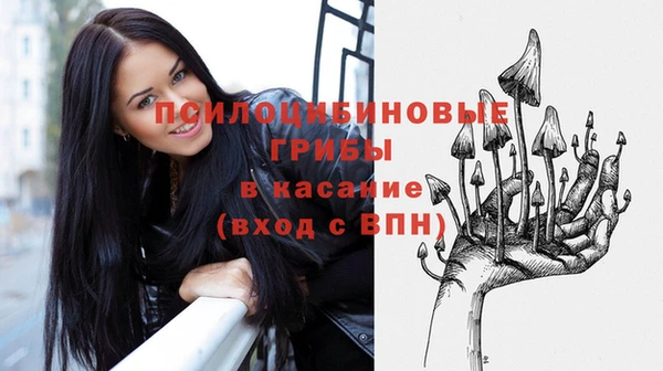spice Арсеньев