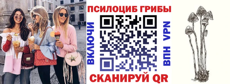 купить   Таруса  kraken зеркало  Галлюциногенные грибы Cubensis 